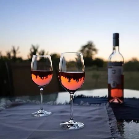 فيلة Eternelle *