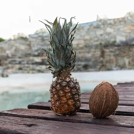 فيلة Eternelle *